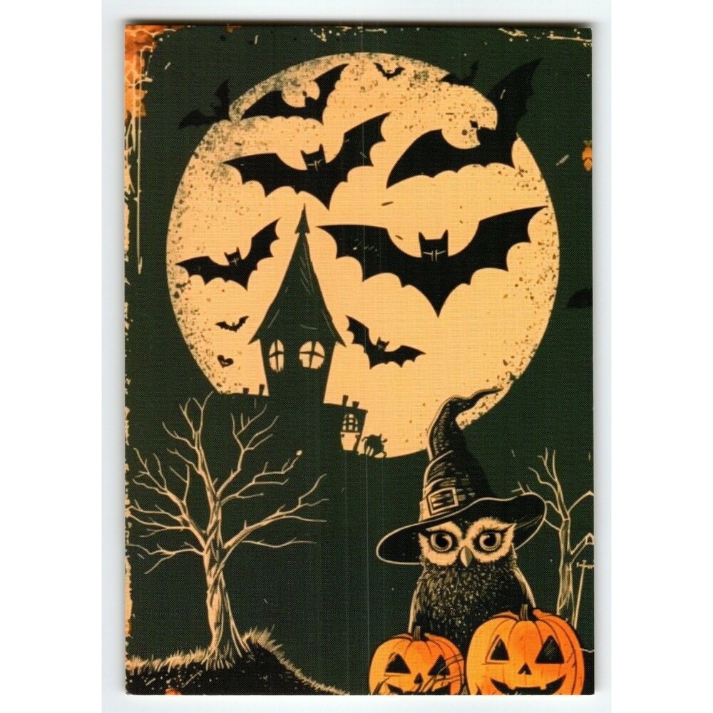 Vintage Halloween Owl Witch Hat Pumpkins Postcard Photochrome 6x4